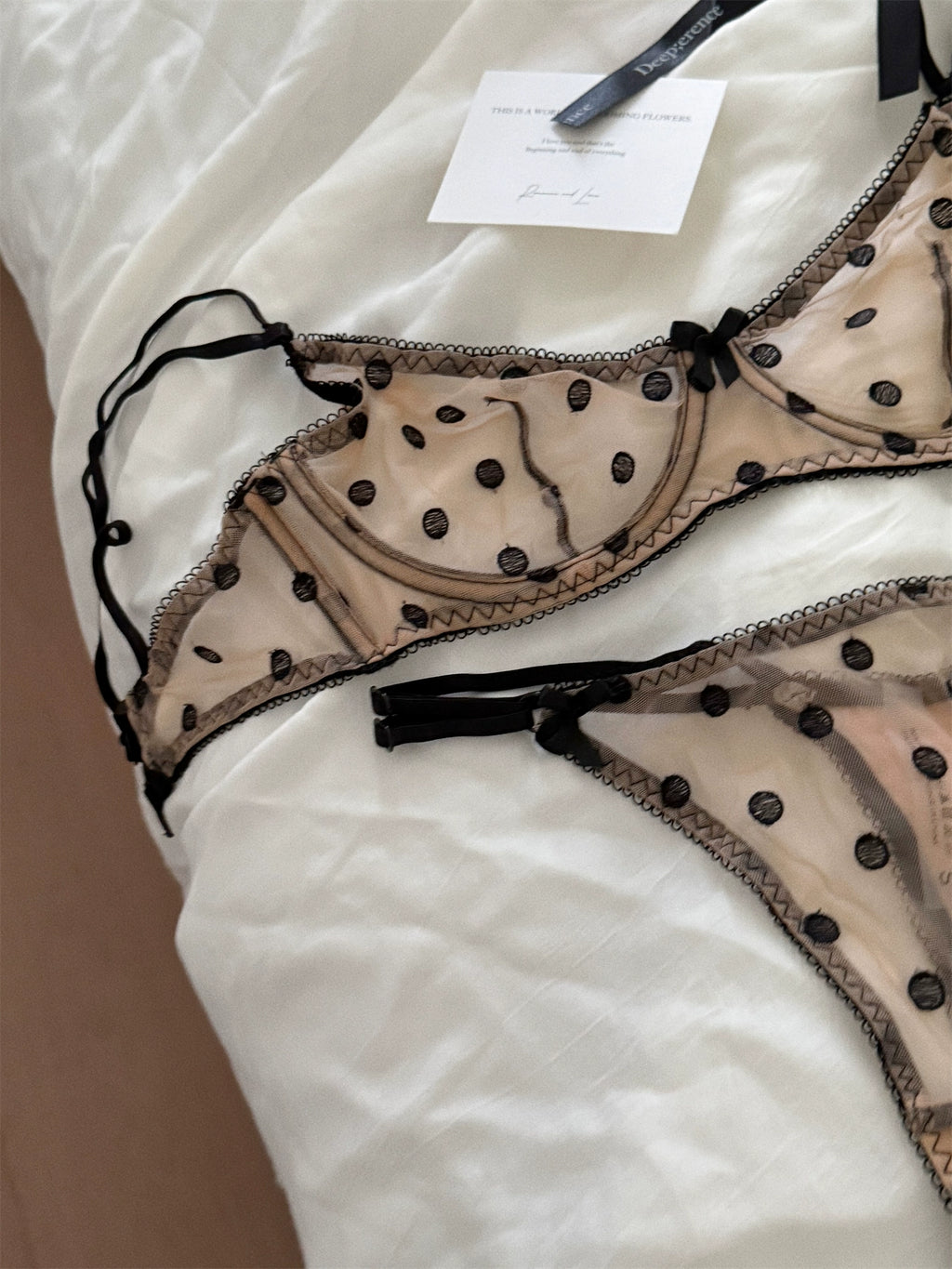 Polka dot women underwear sexy lace embroidered flower lingerie fresh and delicate uplifting bra set ladies bras